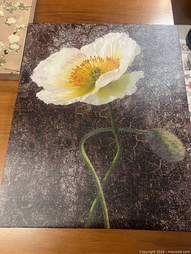 Lot #16 (1 of 6)