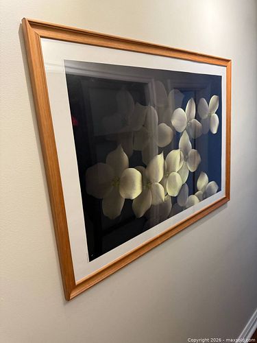 Lot #50 (1 of 6)