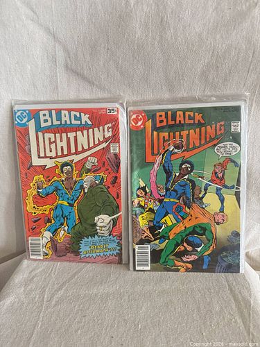 Lot #29 (1 of 5)