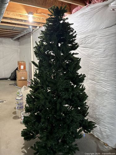 Lot #5 (1 of 1)