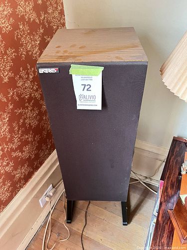 Lot #72 (1 of 2)