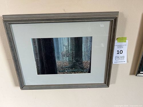 Lot #10 (1 of 2)