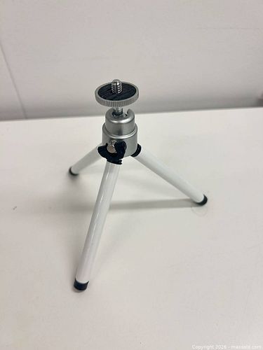 Lot #22 (1 of 3)
