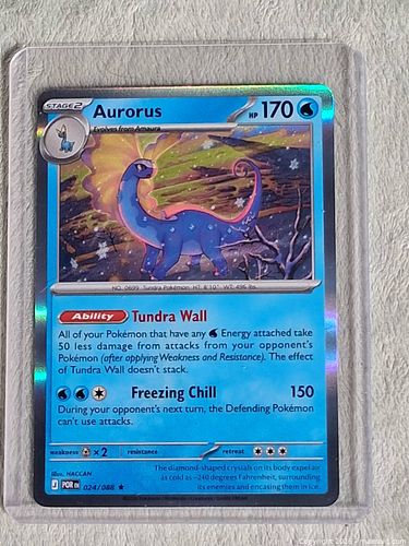 Lot #158 (1 of 6)