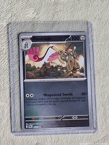Lot #164 (1 of 6)