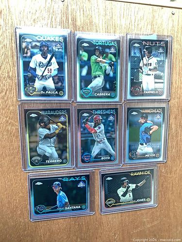 Lot #95 (1 of 3)