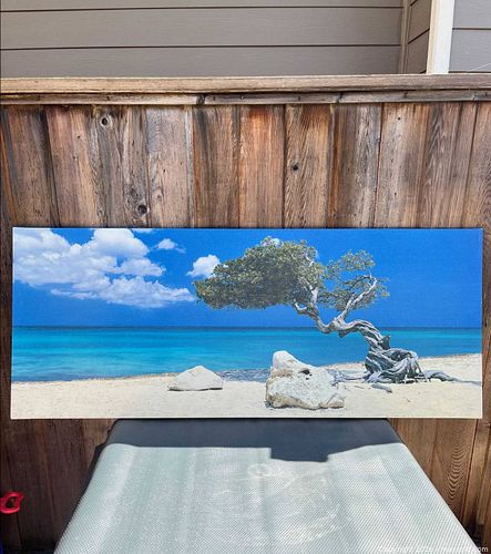 Lot #62 (1 of 14)