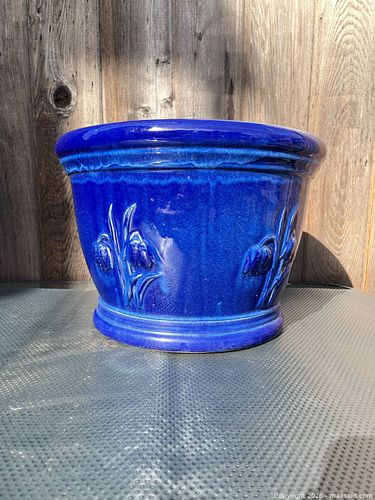 Lot #54 (1 of 20)