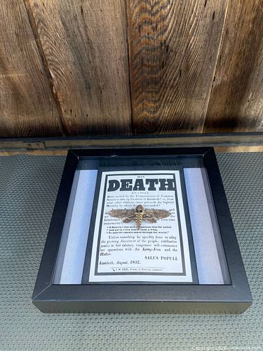 Lot #30 (1 of 14)