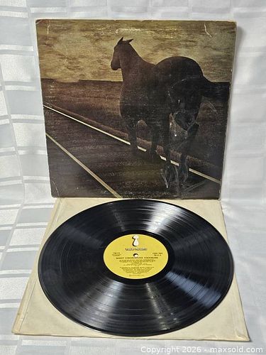Lot #14 (1 of 11)