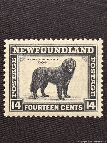 Lot #114 (1 of 3)
