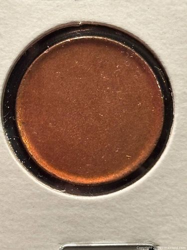 Lot #43 (1 of 3)