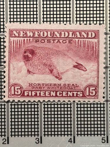 Lot #115 (1 of 2)