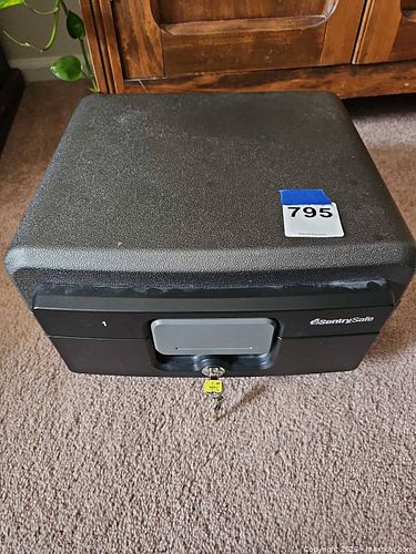 Lot #795 (1 of 9)