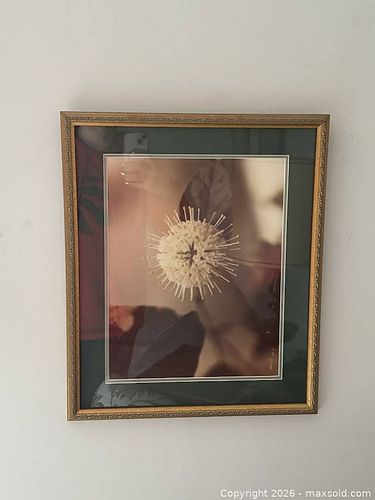 Lot #29 (1 of 5)