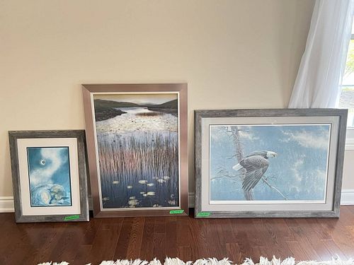 Lot #15 (1 of 11)