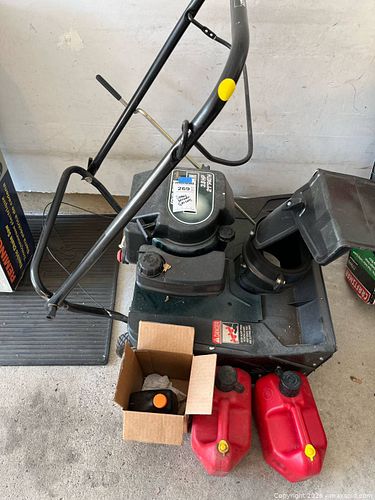 Lot #269 (1 of 9)