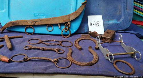 Lot #46 (1 of 7)