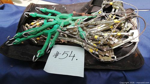 Lot #54 (1 of 10)