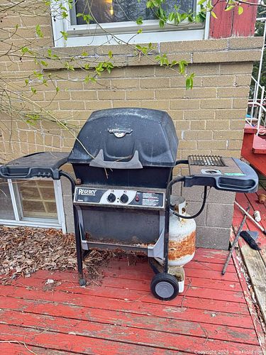 BBQ grill  (1 of 12)