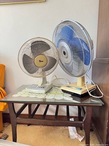 Electric fan and more  (1 of 12)