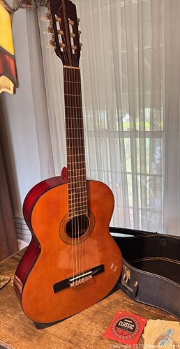 Vintage guitar  (1 of 10)