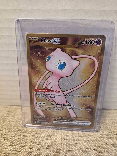 Lot #42 (1 of 12)