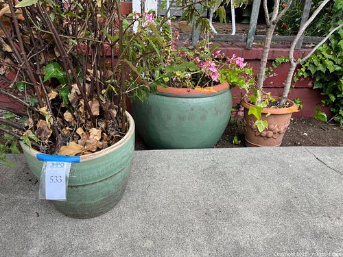 Lot #533 (1 of 5)