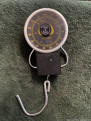 Lot #68 (1 of 2)