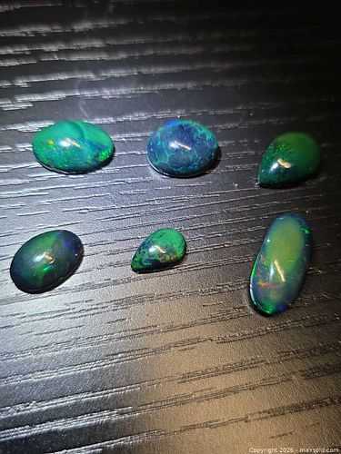 Lot #11 (1 of 15)