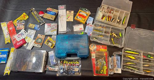 Lot #81 (1 of 10)