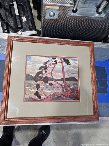 Lot #41 (1 of 6)