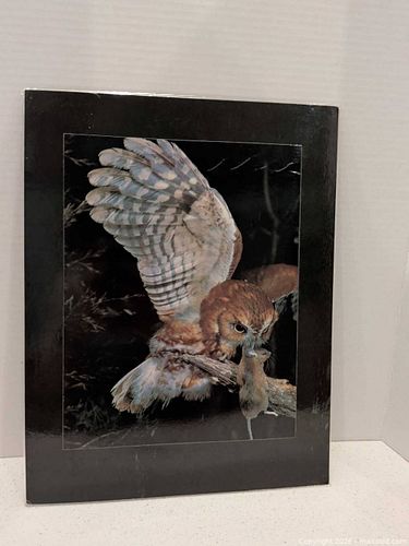 Lot #2 (1 of 4)