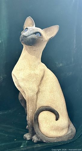 Lot #24 (1 of 6)
