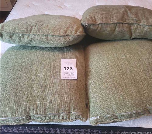 Cushions - set of 4 (1 of 4)