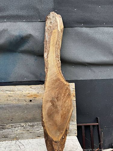 Lot #74 (1 of 6)