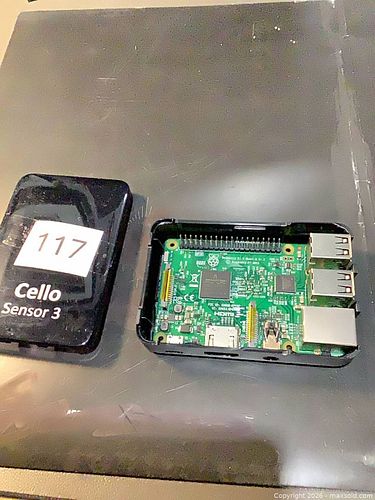 Lot #117 (1 of 5)