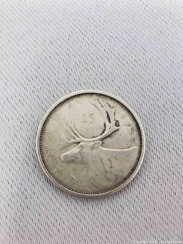 Lot #24 (1 of 3)