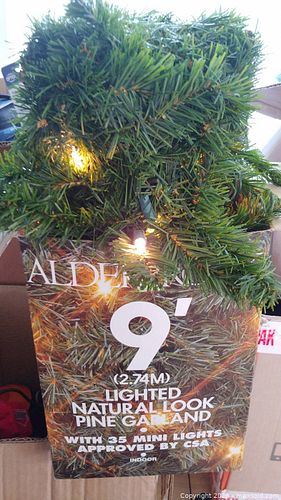 Lot #45 (1 of 2)
