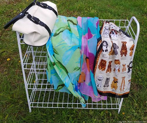 Dressing up necessities (1 of 4)