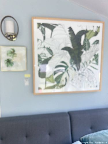Lot #41 (1 of 6)