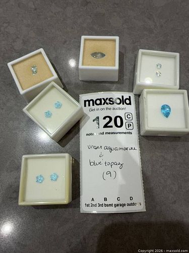 Lot #120 (1 of 9)