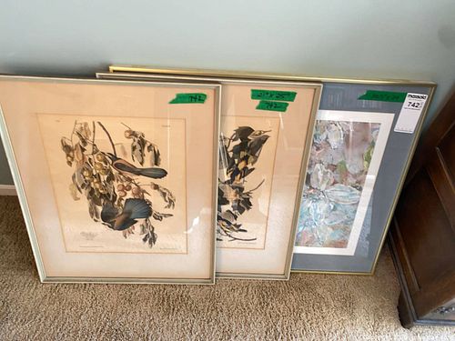 Lot #742 (1 of 16)