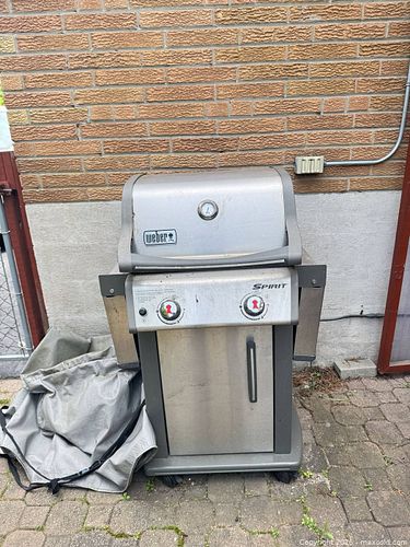 Lot #579 (1 of 14)