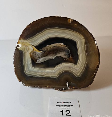 Lot #12 (1 of 8)