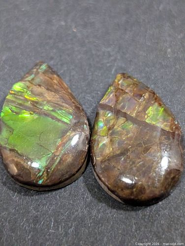 Lot #195 (1 of 2)