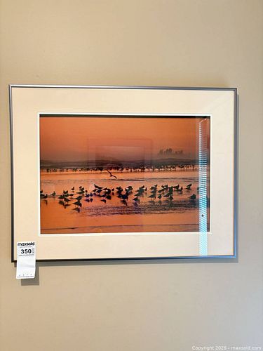 Lot #350 (1 of 5)