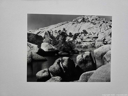 Lot #12 (1 of 3)