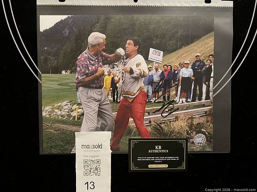 Lot #13 (1 of 4)