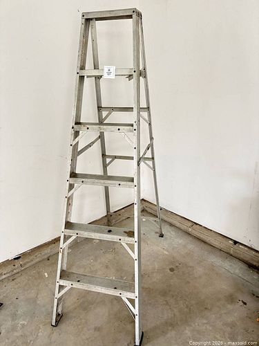 Lot #101 (1 of 9)
